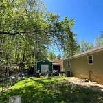 Tree Removal