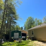 Tree Removal