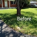 Mowing day