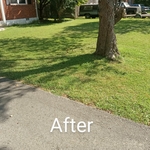 Mowing day
