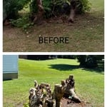 Tree cutting/trimming
