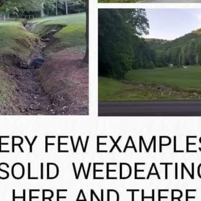 Weedeating