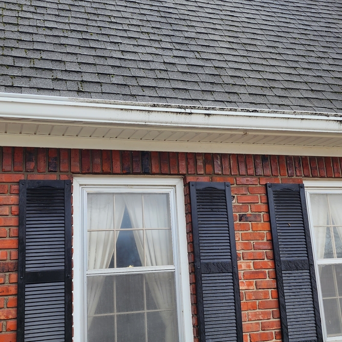 Gutter Brightening