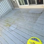 Clean and Repaint Deck