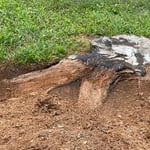 Below surface profile