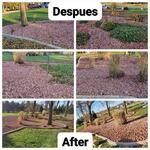 Garden Remodel