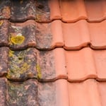 roof cleaning pressure washed