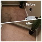 Carpet Cleaning