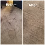 Carpet Cleaning
