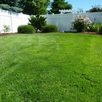County Line Lawn Care