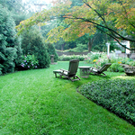 County Line Lawn Care