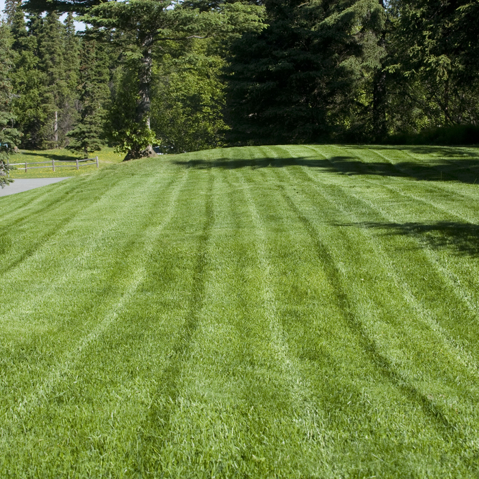 County Line Lawn Care