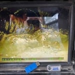 Clogged Sewer