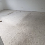 from carpet to wood floor