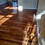 4 BR House Deep Clean