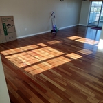 4 BR House Deep Clean
