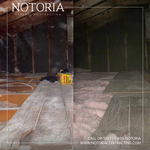 Insulation Removal and Install Before & After