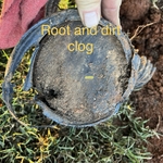 Root and Dirt Clog