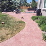 Backyard Before