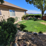 Side Yard Before