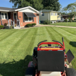 Best Stripes Around