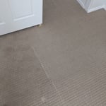 Carpet Cleaning