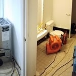 Restoration early January