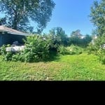 Lawn renovation