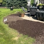 Lawn renovation