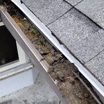 Gutter Clogged with Debris