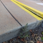 Handicap Ramp Lift