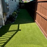 Turf