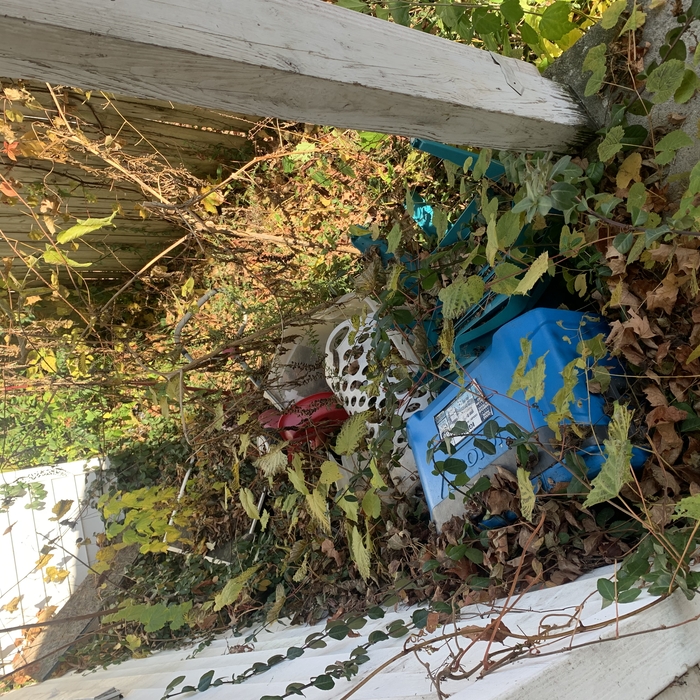 Estate Clean up