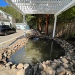 Koi pond