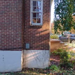 Ivy Removal