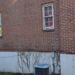 Ivy Removal