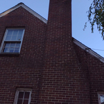 Completed Ivy Removal