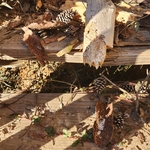Porch damaged