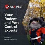 Rodent & Pest Control Experts