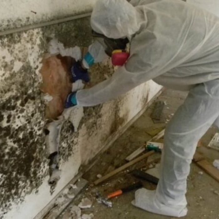 Interior Mold