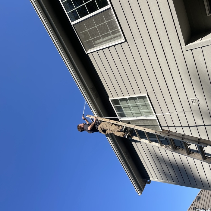 Roof washing/moss removal