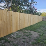 Wood Nail Up Fence