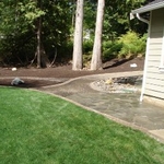 Front Yard & Patio