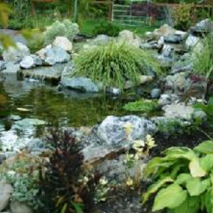 Water Feature
