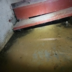 Rotted out step.