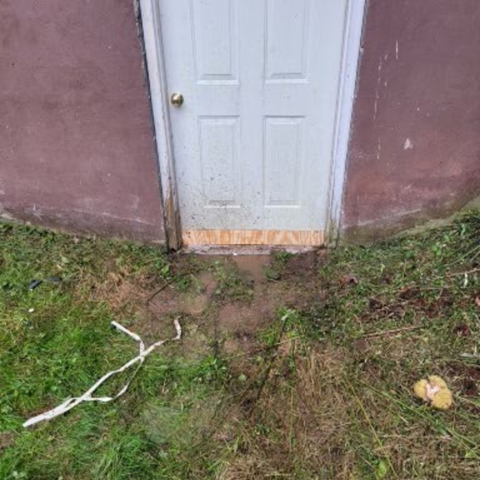 Boarded basement door