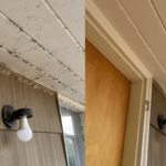 Before and After House Washing Entry