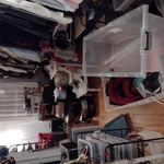 House organizing