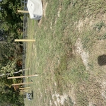 4 rail board on board fence
