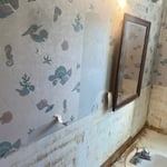 Small Bathroom Remodel